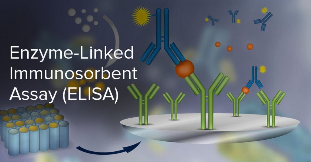 ELISA Overview