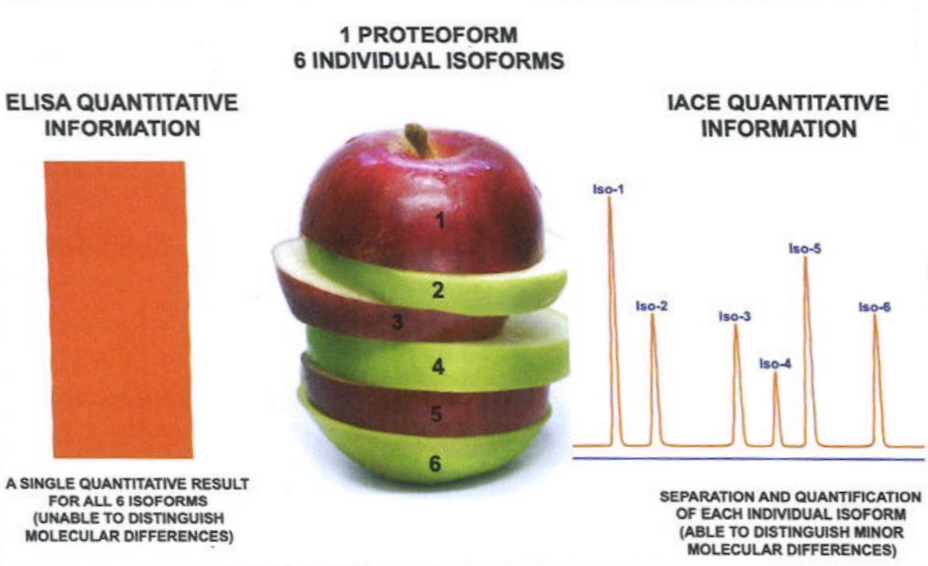 Elisa vs IACE for isoform seperation